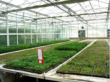 温室精准灌溉控制器